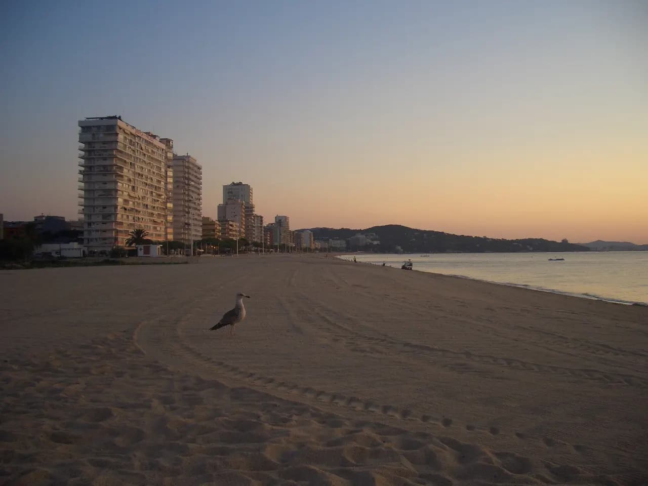Platja Gran de Platja d'Aro