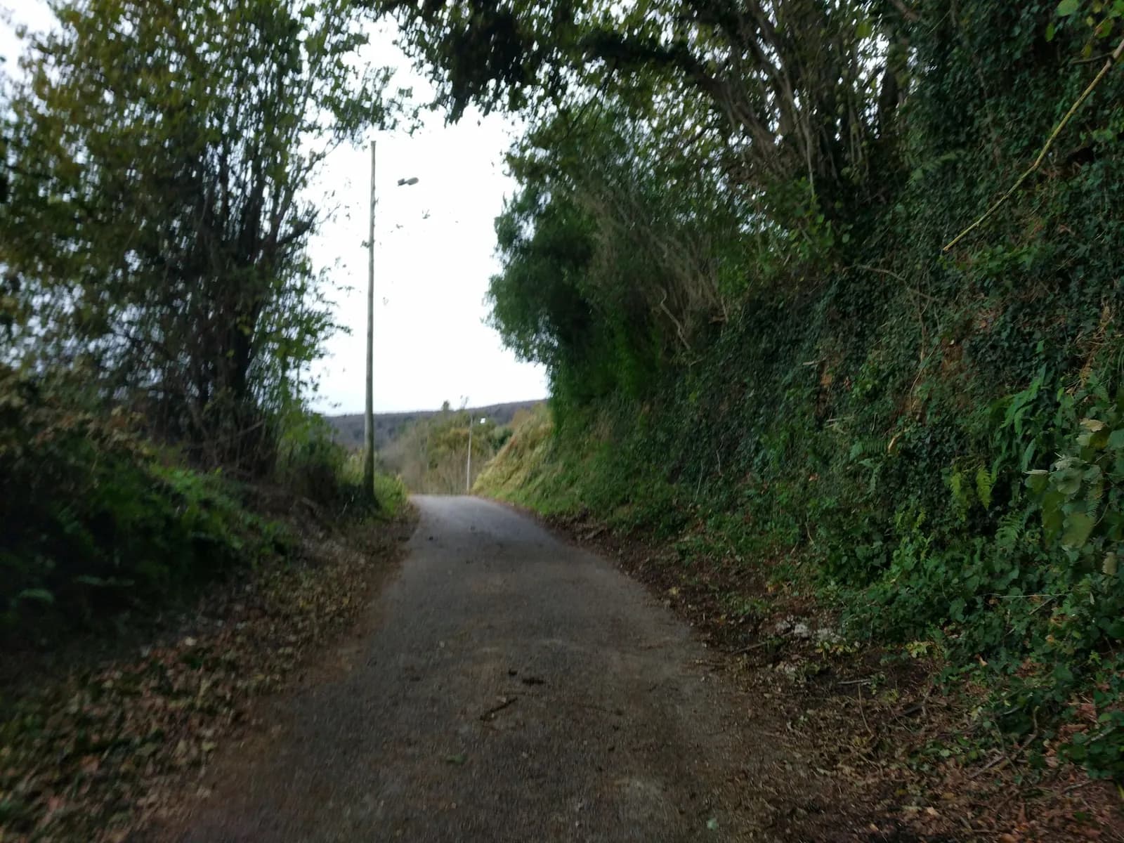 Aparcamiento gratuito en Avenida de Gonzalez Mayo en Tineo (Asturias)