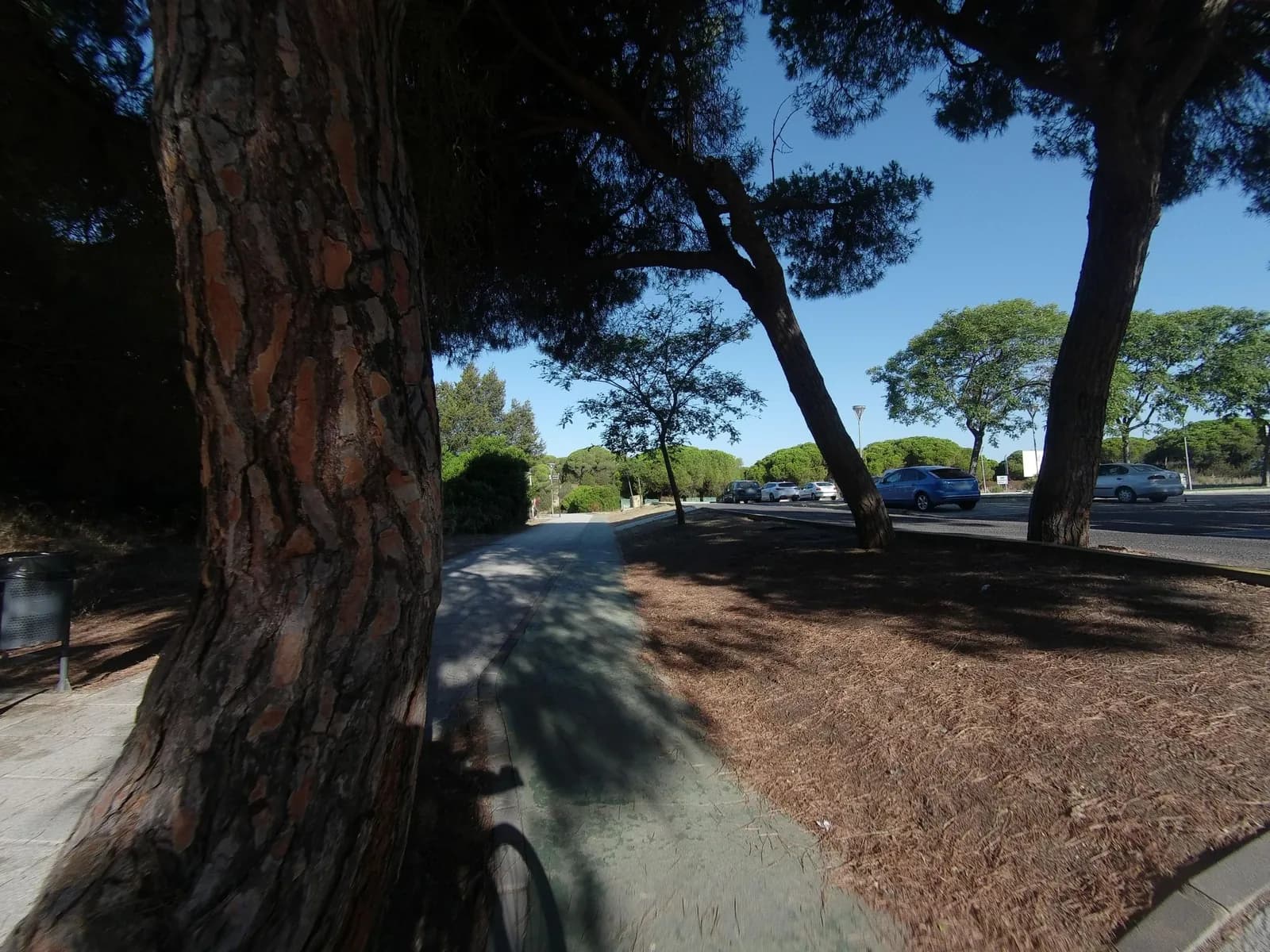 Aparcamiento gratuito en Avenida Playas de Cartaya (Nuevo Portil) en Aljaraque (Huelva)