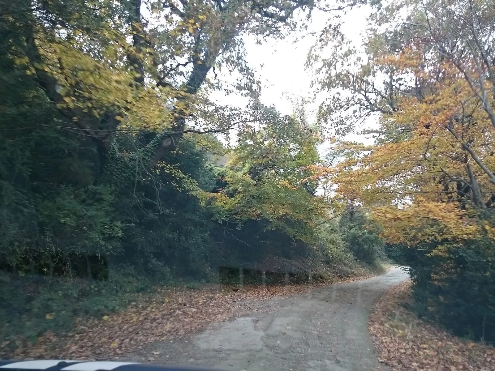 Aparcamiento gratuito en Camí de Tavertet a Rajols en Rupit i Pruit (Barcelona)