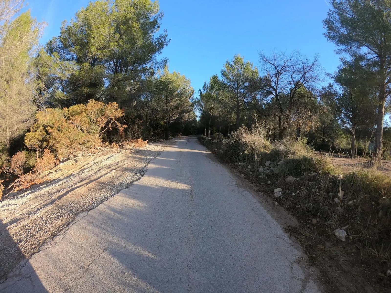 Aparcamiento gratuito en Camí del Cementiri en L'Arboç (Tarragona)