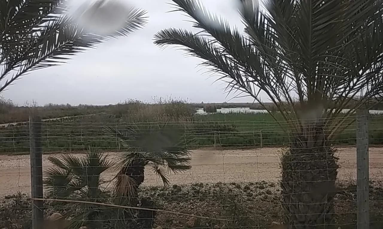Aparcamiento gratuito en Camí del Conveni Nou en Catral (Alicante)