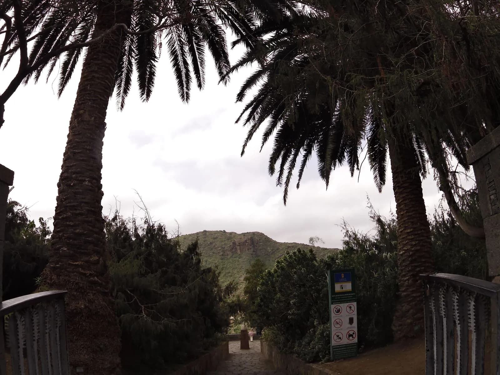 Aparcamiento gratuito en Camino Al Palmeral en Santa Brígida (Las Palmas)