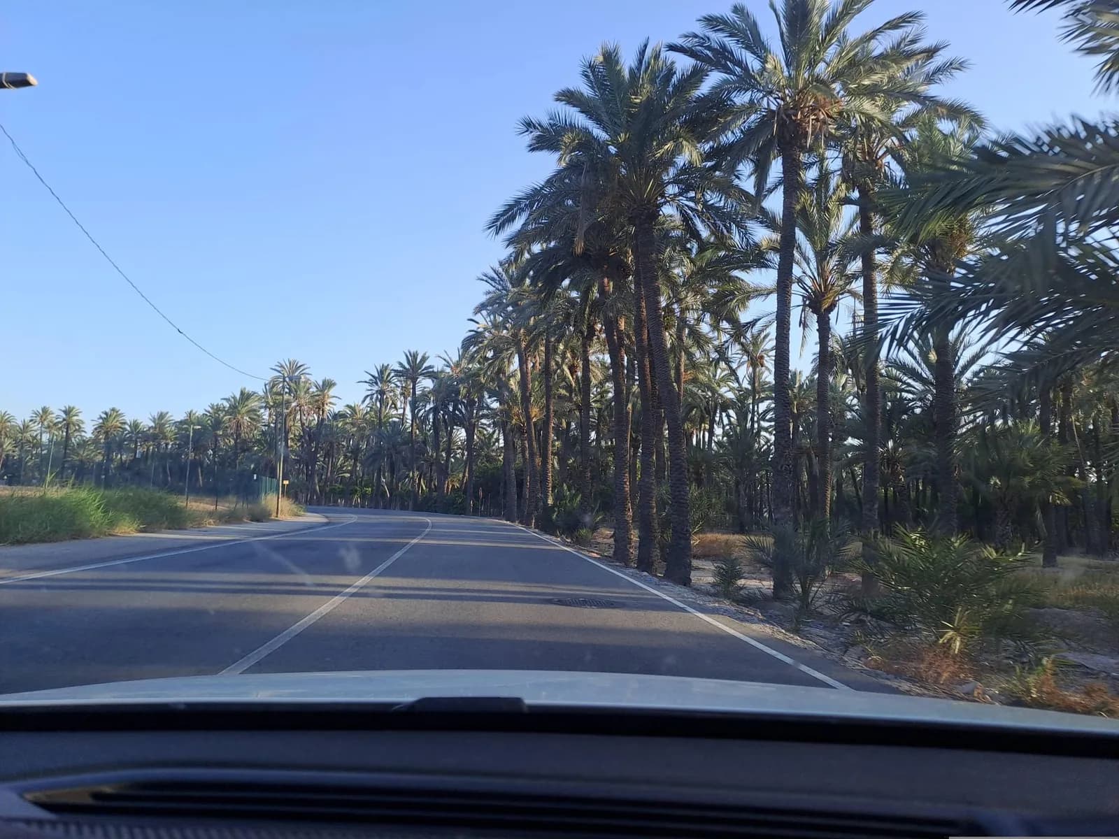 Aparcamiento gratuito en camino del Pantano en Elche/Elx (Alicante)
