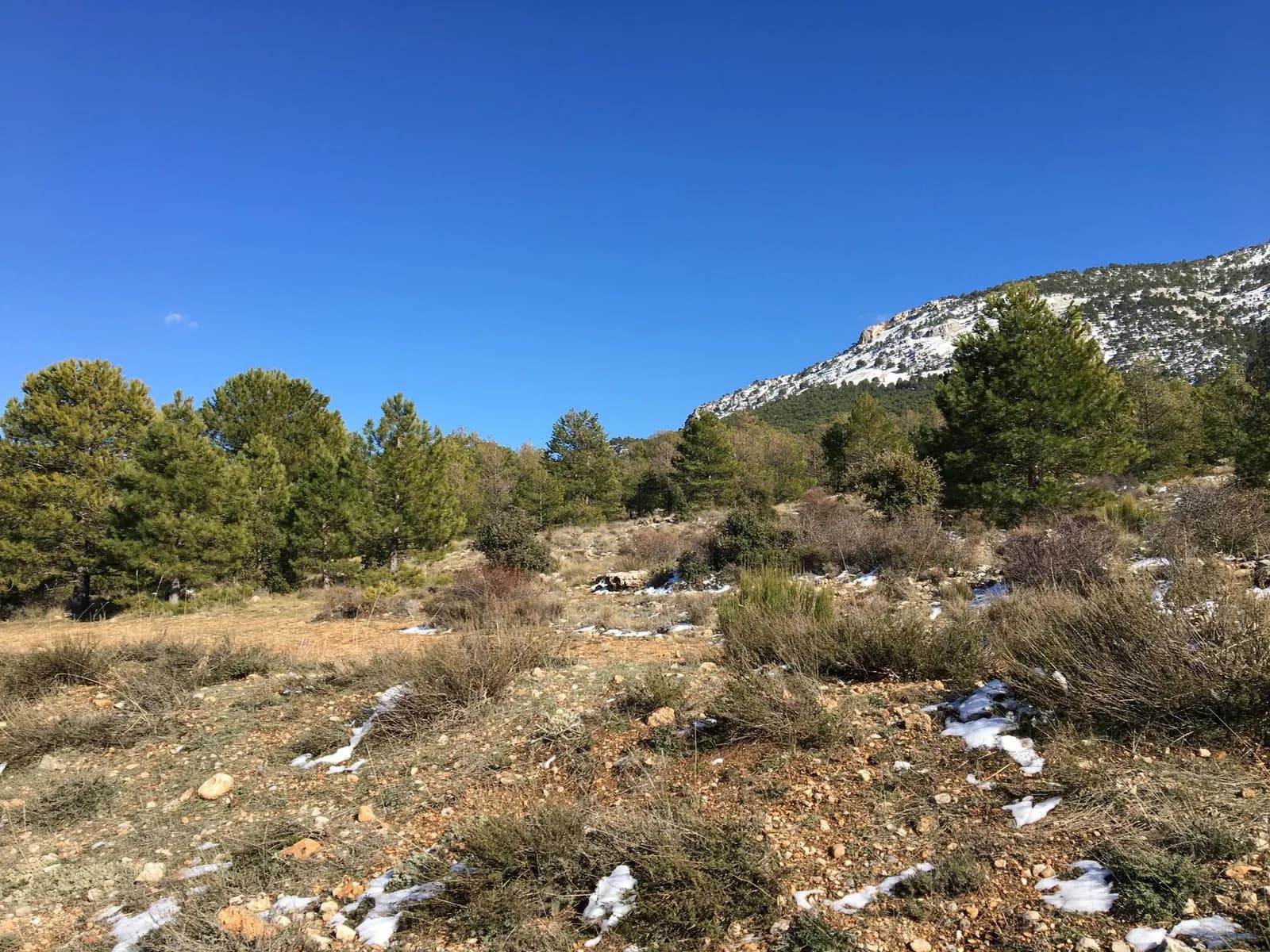 Aparcamiento gratuito en Carretera a Puerto Hondo en Nerpio (Albacete)