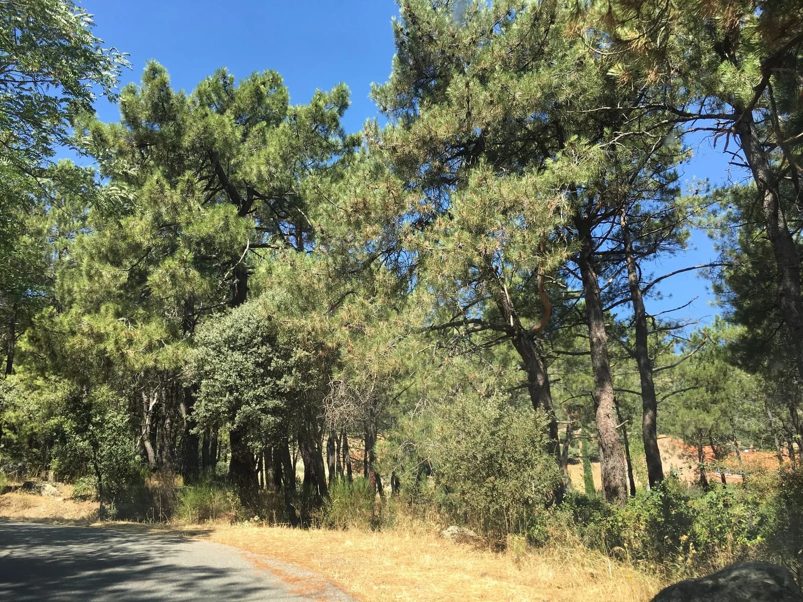 Aparcamiento gratuito en Carretera de Peguerinos a El Escorial en El Escorial (Madrid)