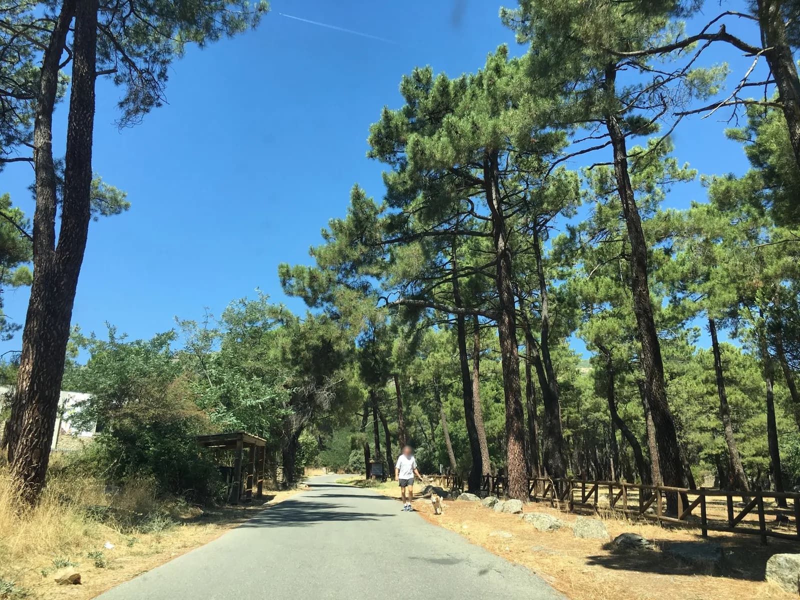Aparcamiento gratuito en Carretera de Peguerinos a El Escorial en Escorial (El) (Madrid)