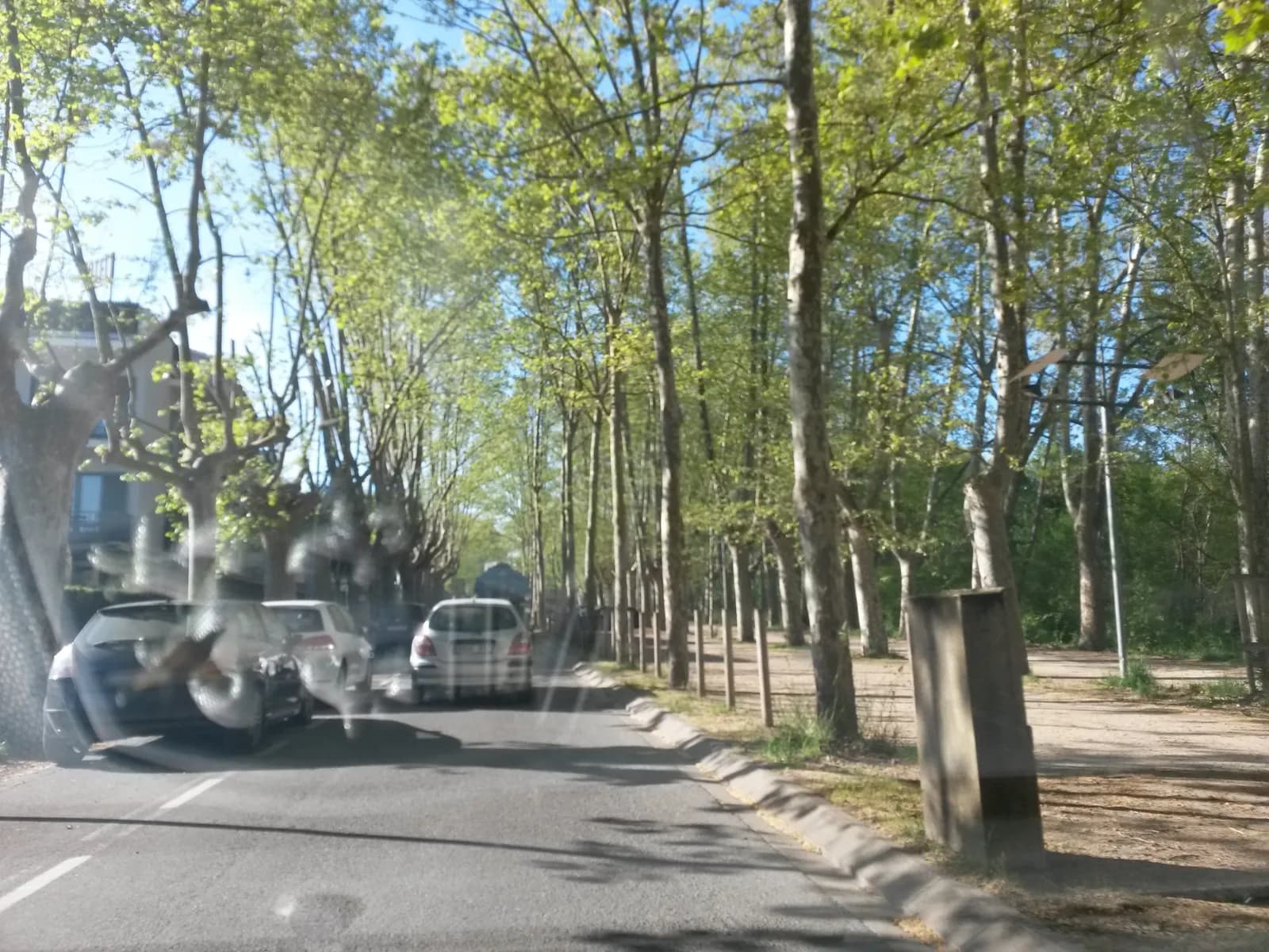 Aparcamiento gratuito en Passeig de Dalmau en Porqueres (Girona)