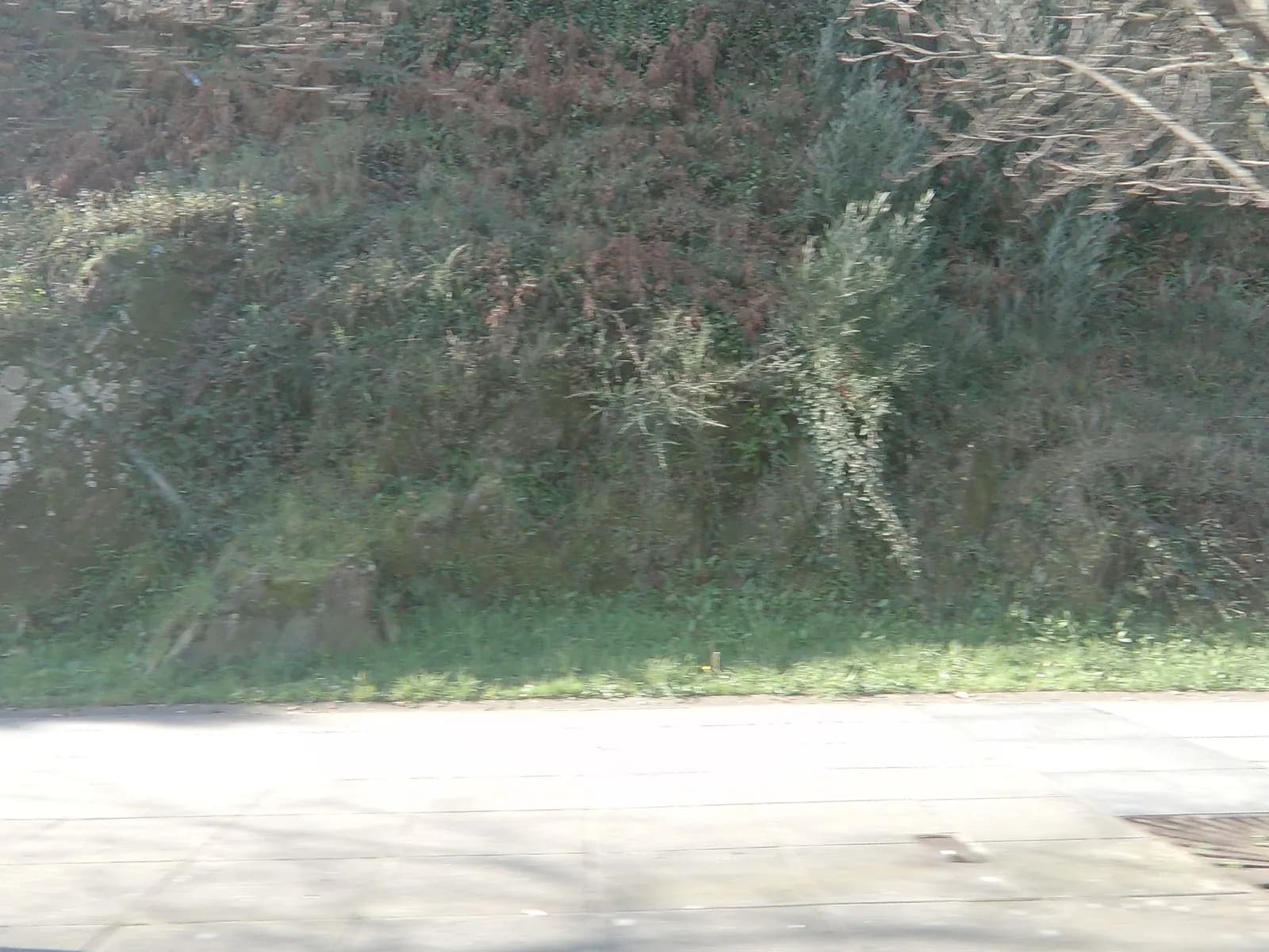 Parking PARKIA San Caetano - Xunta Galicia en Santiago de Compostela (A Coruña)