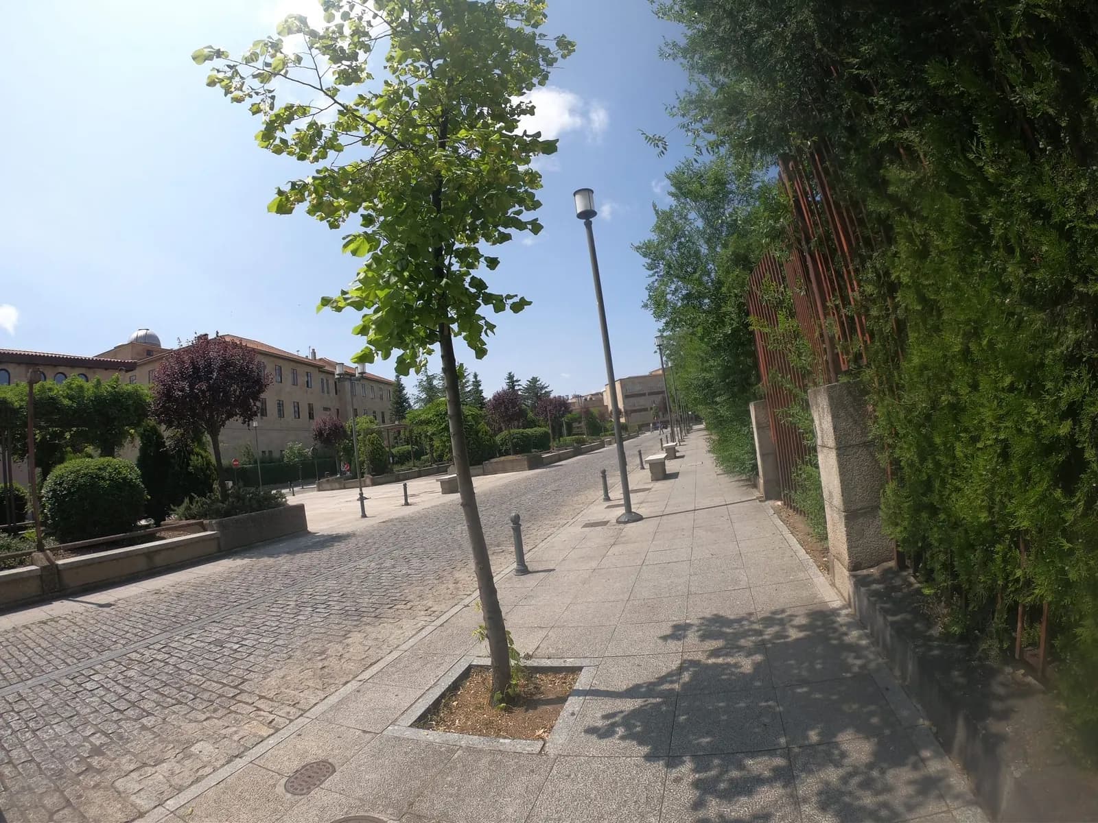 Parking CLUBÖ Centro Histórico (USAL) - Botánico. ¡Höla! en Salamanca