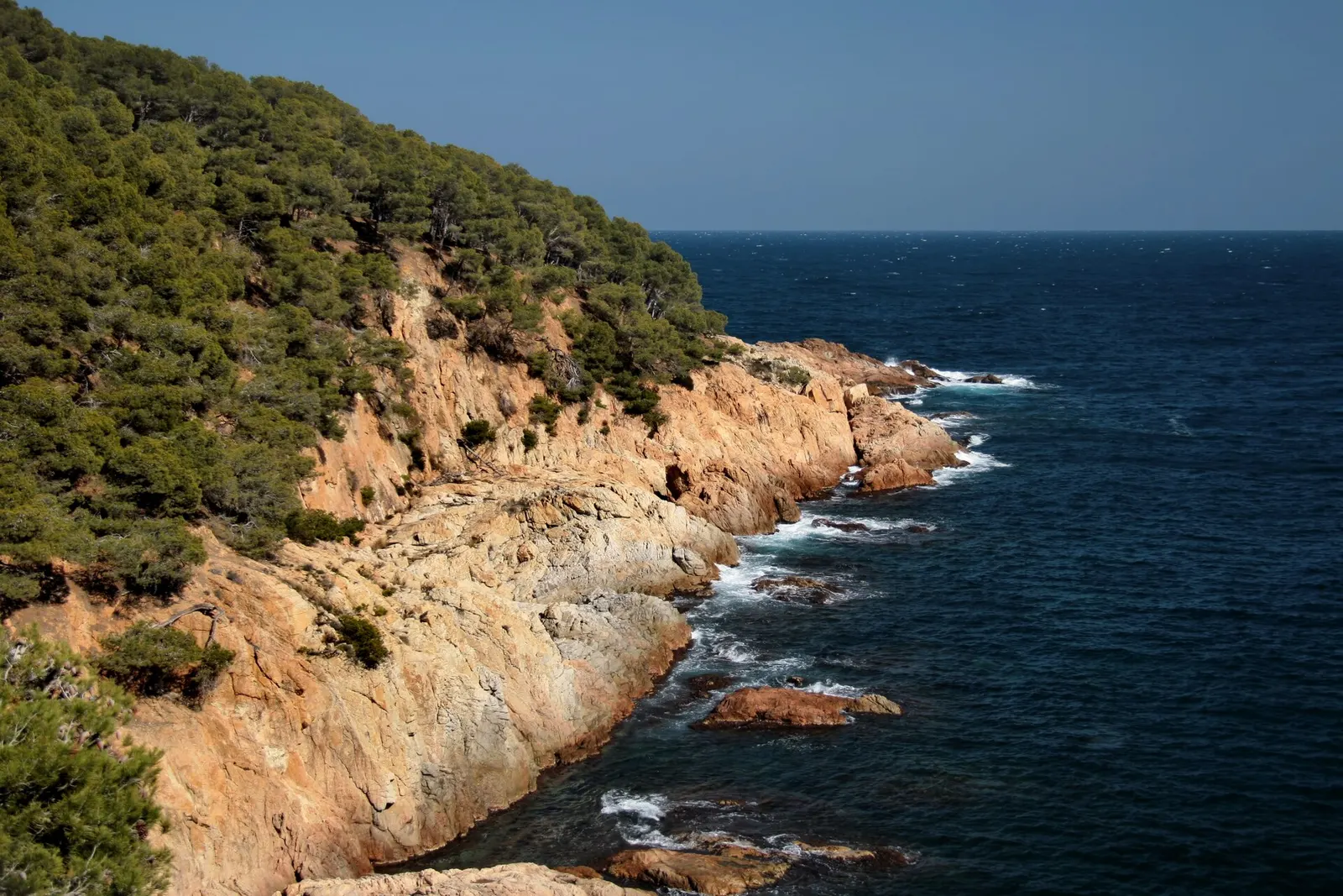 Cala Pedrosa (Palafrugell)