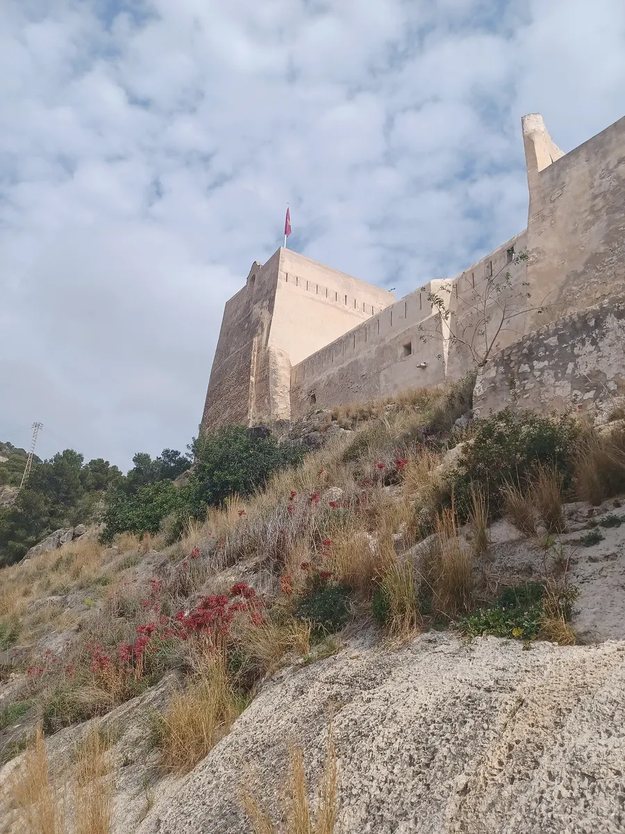 Castell de Cullera