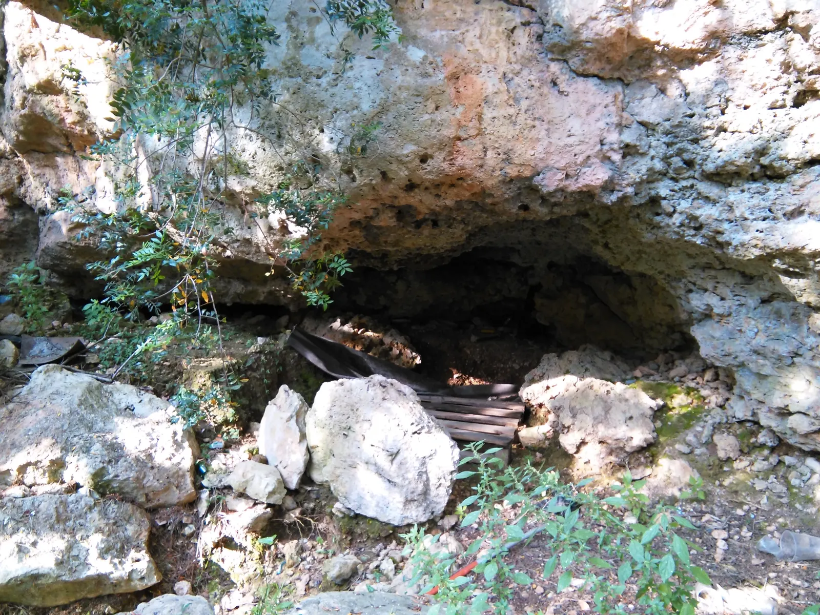 Cueva de Son Verí de Baix (Sa Torrentera)