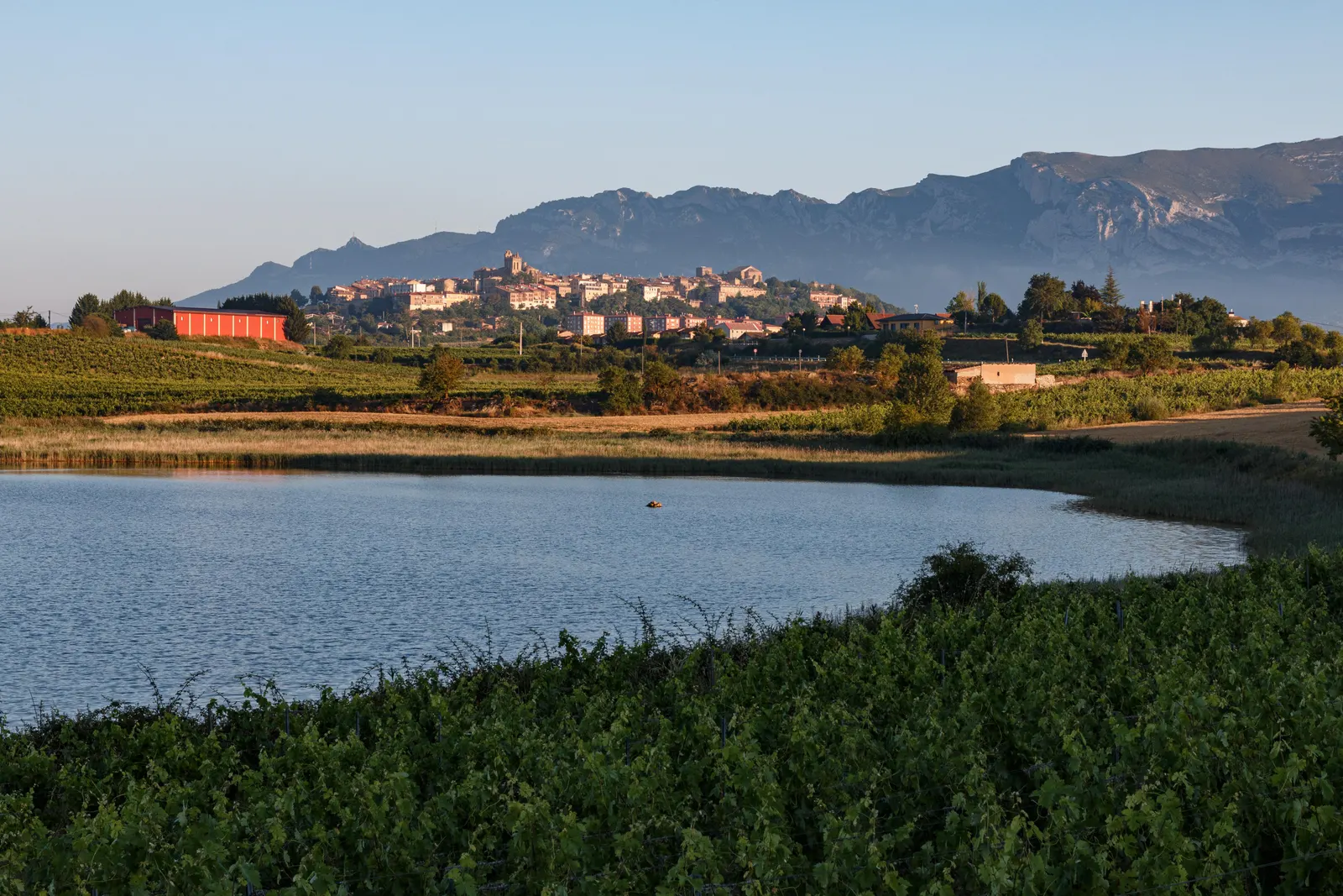 Laguna de Carralogroño