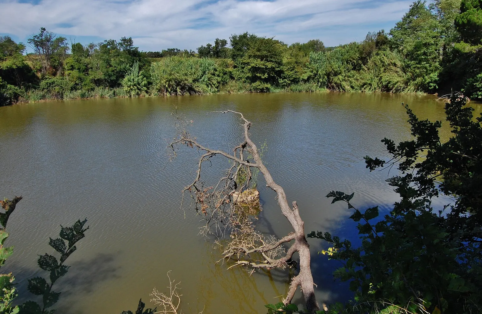 Llac de Can Codorniu