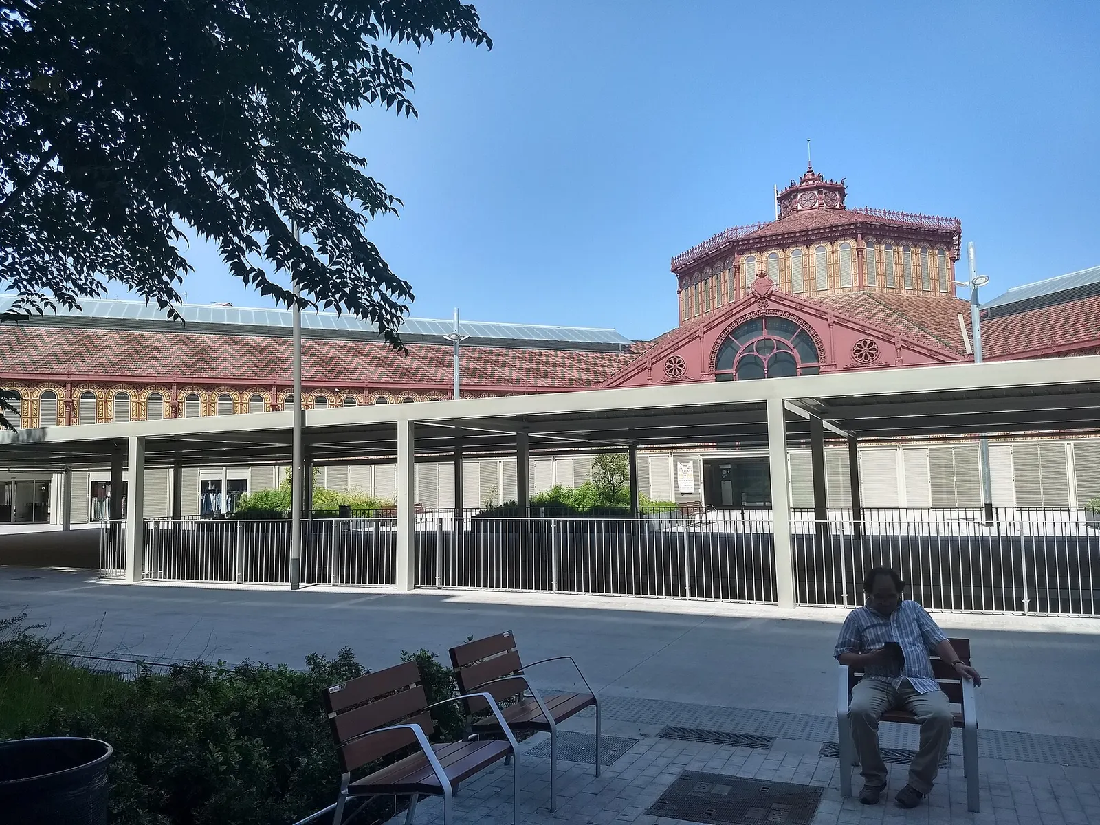 Mercat de Sant Antoni (Castellón de la Plana)