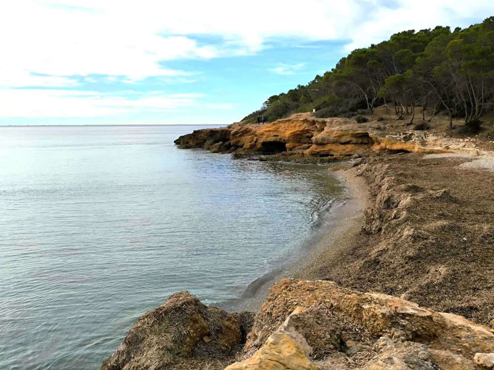 Platja de Port Olivet