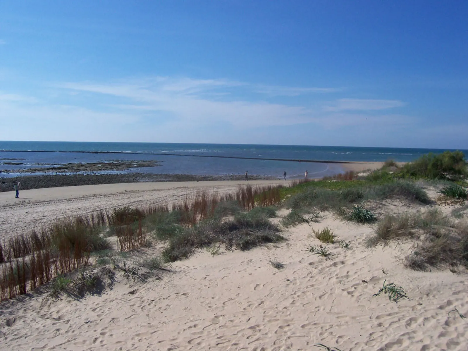 Playa de Punta Candor
