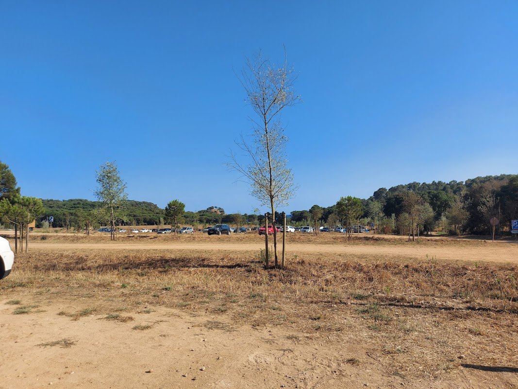 Parking Platja del Castell (Vall-llobrega) en Vall-llobrega (Girona) — foto 3 de 3