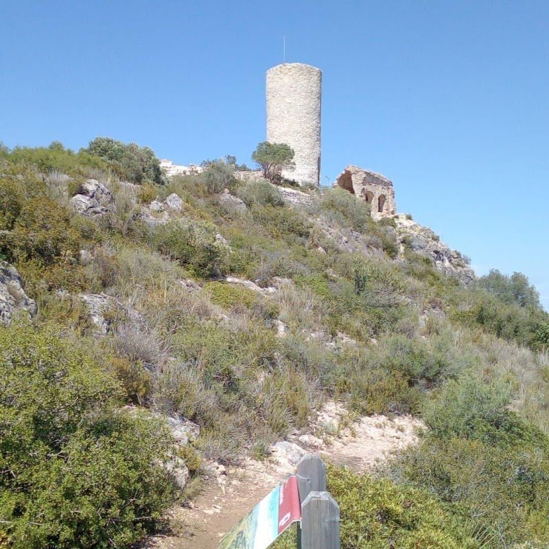 Aparcamiento gratuito en Avinguda de la Diputació en Pacs del Penedès (Barcelona) — foto 1 de 2