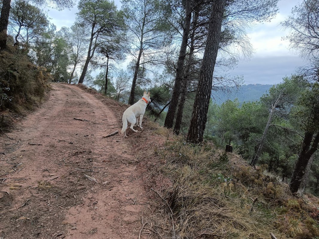 Aparcamiento gratuito en Camí de les Arenes en Castellar del Vallès (Barcelona)