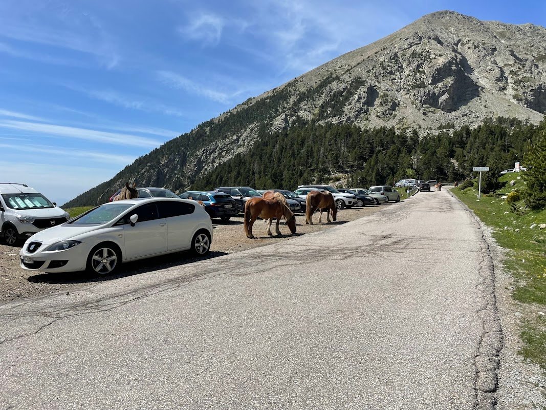 Aparcamiento gratuito en Carretera de Vallter2000 en Setcases (Girona)