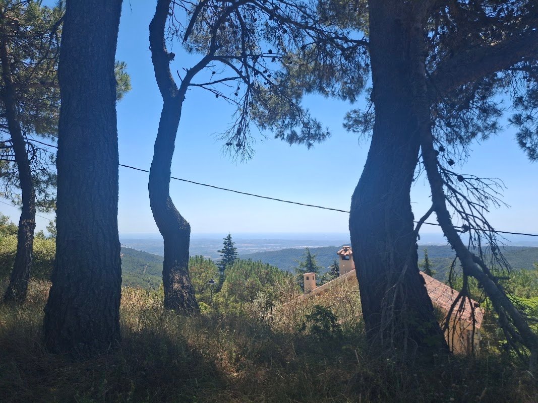 Aparcamiento gratuito en el centro de Mont-ral en Mont-ral (Tarragona)