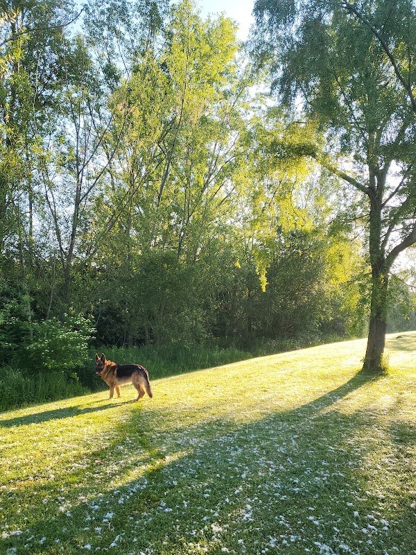 Aparcamiento gratuito en Paseo Dolores Ibárruri en Valle de Mena (Burgos)