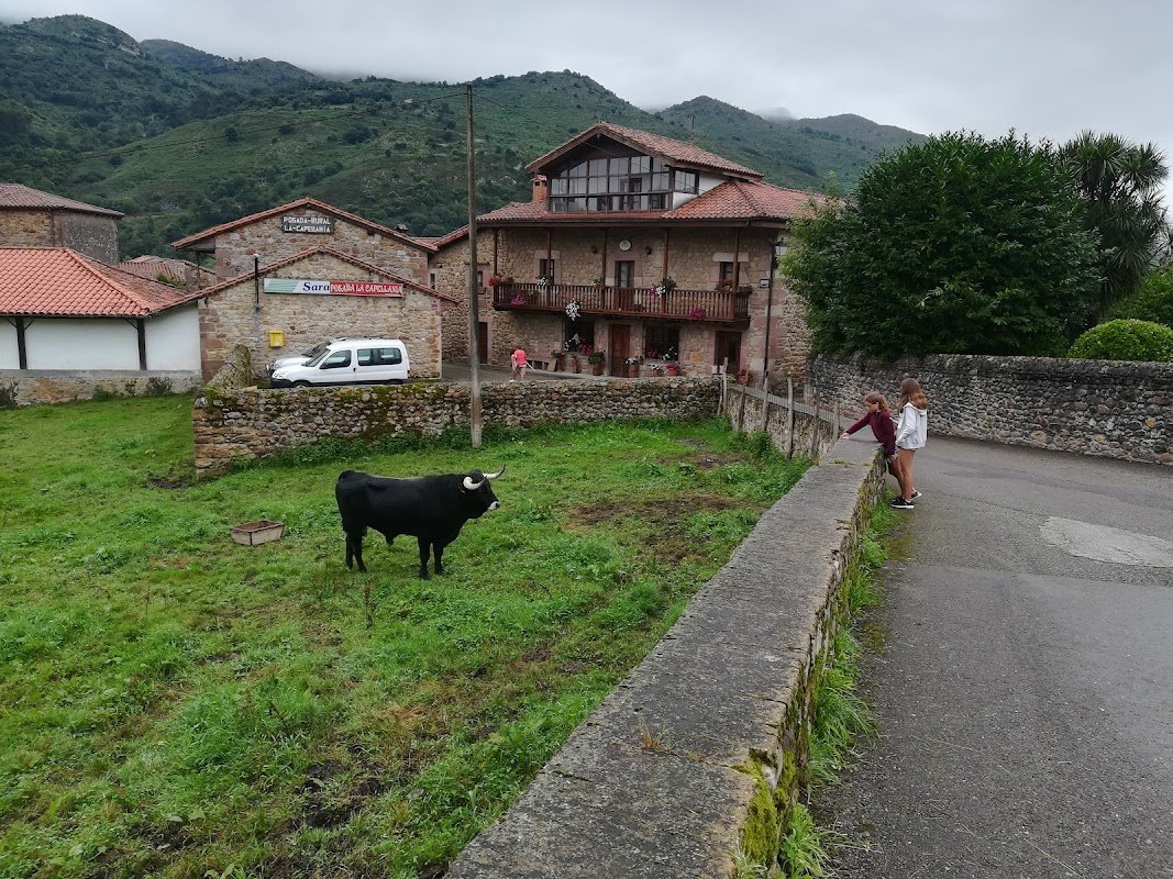 Aparcamiento gratuito en Valle de Cabuérniga-Puentenansa en Rionansa (Cantabria)