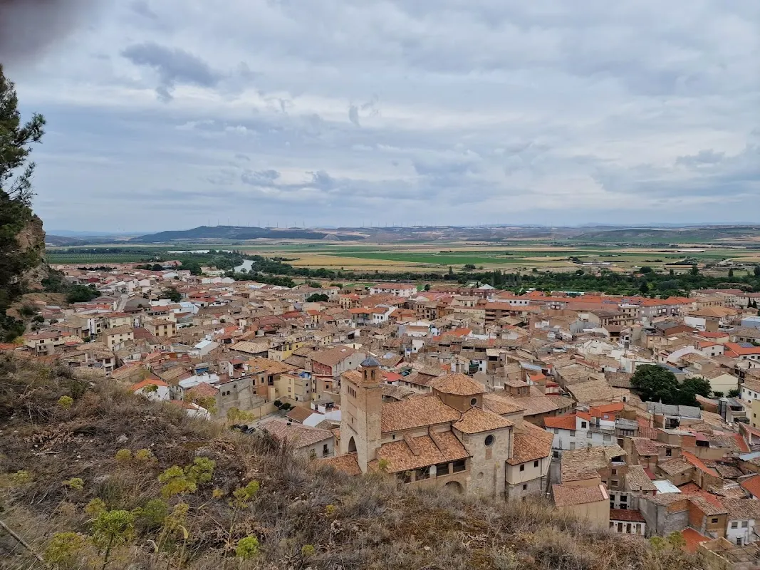 Parking de Falces: pernocta autocaravanas junto al río Arga en Falces (Navarra)