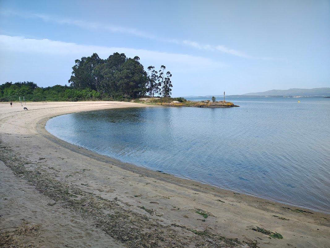Parking de autocaravanas Río Ulla en Vilagarcía de Arousa en Vilagarcía de Arousa (Pontevedra) — foto 2 de 2