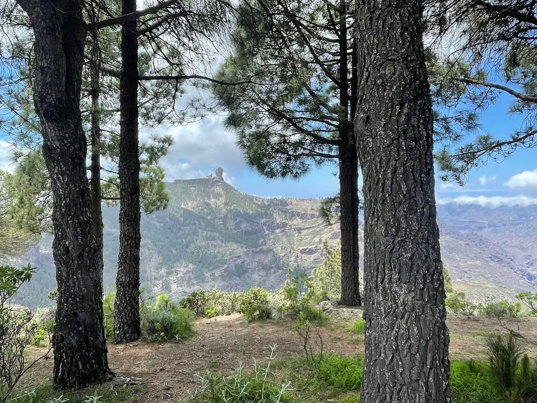 Parking del Corral de Los Juncos, Tejeda (Gran Canaria) en Tejeda (Las Palmas) — foto 4 de 4