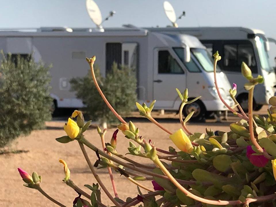 Parking autocaravanas Camper Park Los Olivos (Cartagena) en Los Puertos de Santa Bárbara - Cartagena (Murcia)