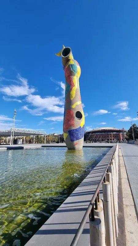 Parking de L'Escorxador, aparcamiento junto al centro de Lleida en Lleida — foto 3 de 4