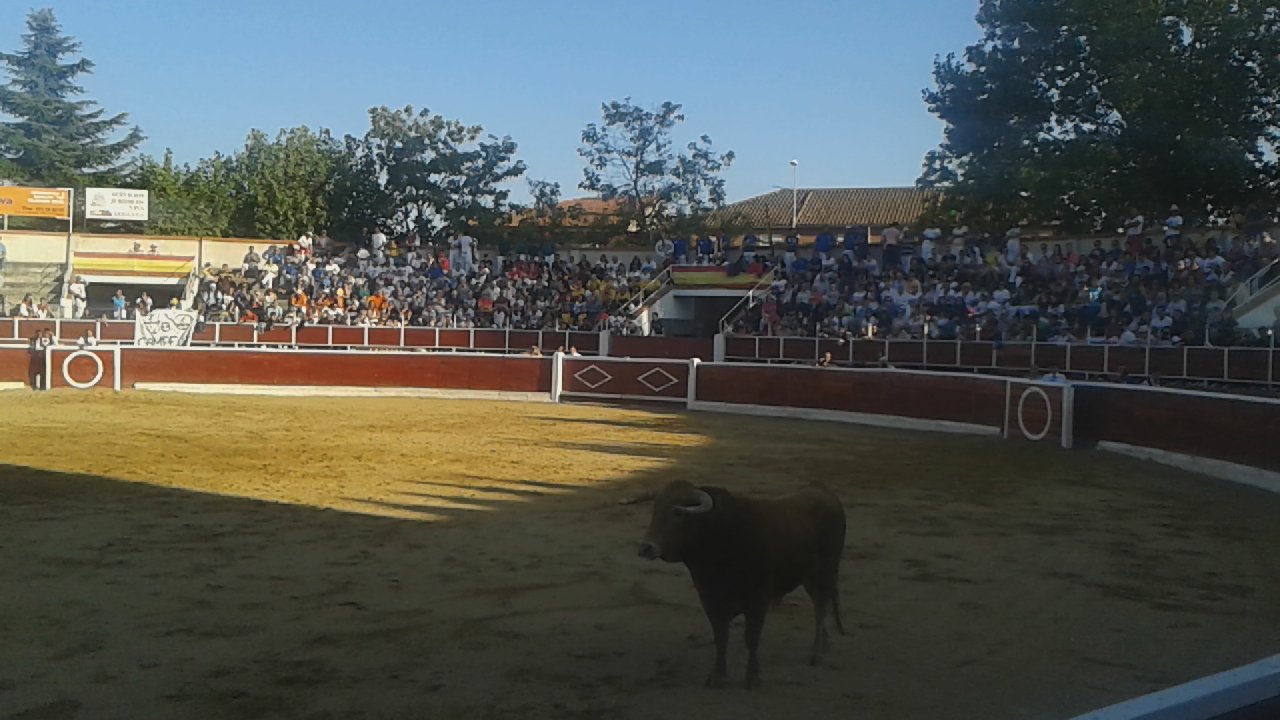Aparcamiento de la Plaza de Toros de San Lorenzo — foto 1 de 4